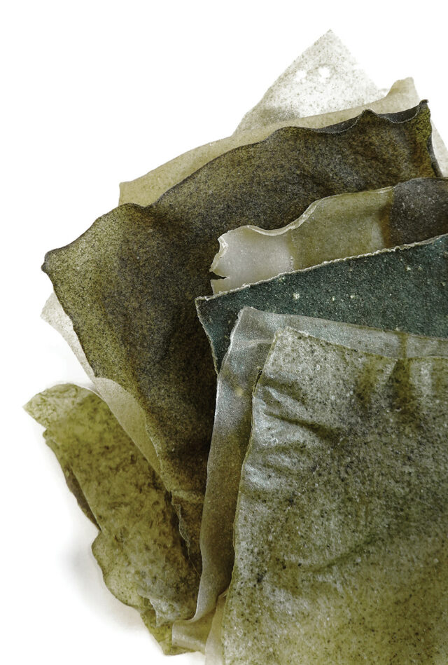 Algae Sheet Tests by The Bartlett School of Architecture