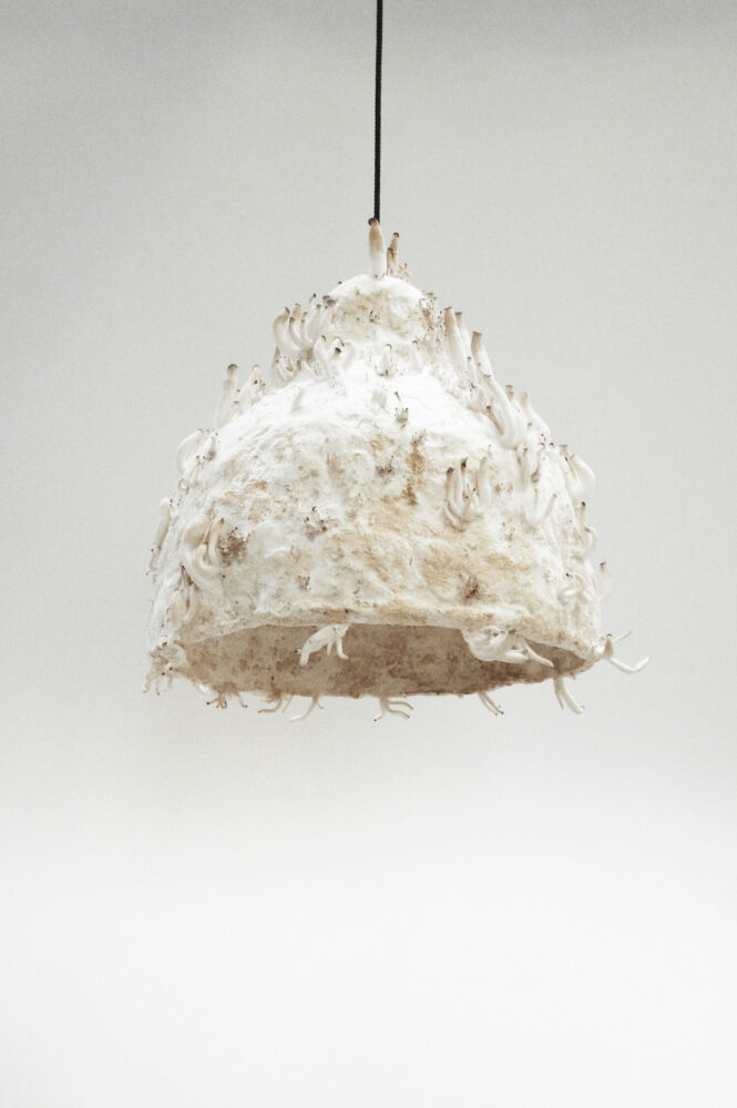 MYX lamp by Jonas Edvard